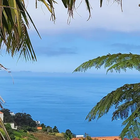 Boutique In Calheta Apartamento