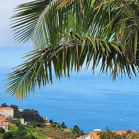Boutique In Calheta *
