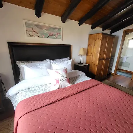 Apartamento Boutique In Calheta