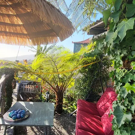 Boutique In Calheta Апартаменты Арку-да-Кальета