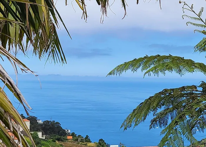 Boutique In Calheta 公寓