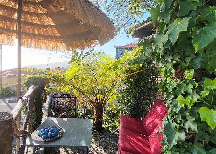 Boutique In Calheta 公寓 阿科达卡列塔